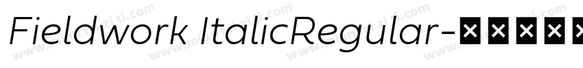 Fieldwork ItalicRegular字体转换